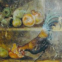 Fresco met haan uit PompeiiFresco met haan uit Pompeii