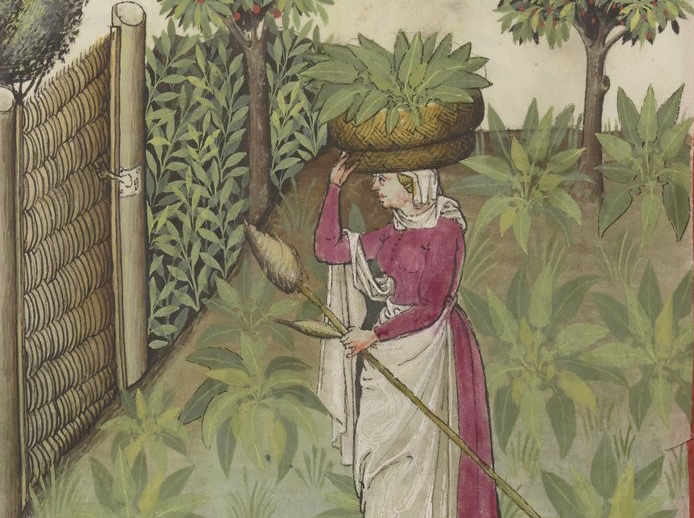 Dame met mand spinazie uit Tacuinum sanitatis (14e eeuw)